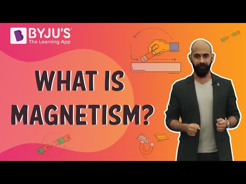 case study questions on fun with magnets class 6