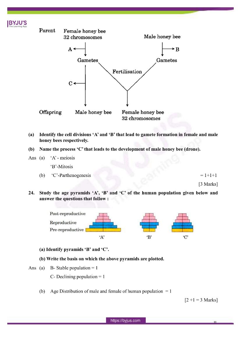 cbse class 12 biology 2020 question paper answer set 57 1 1 09