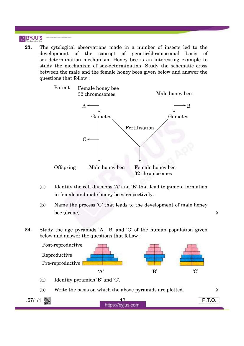 cbse class 12 biology 2020 question paper set 57 1 1 12