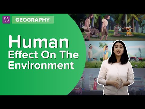 essay on impact of human activities on environment