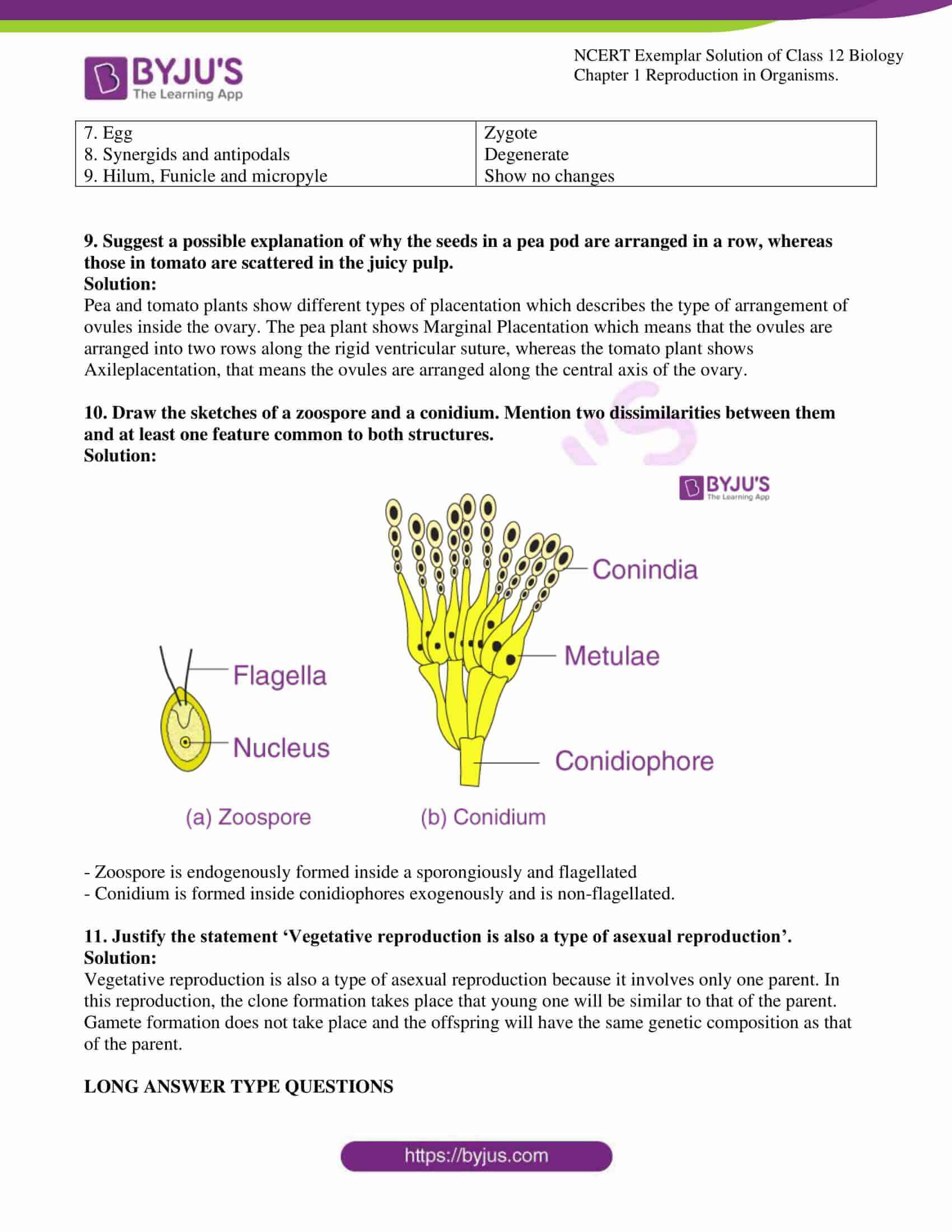 ncert exemplar solution of class 12 biology chapter 1 10