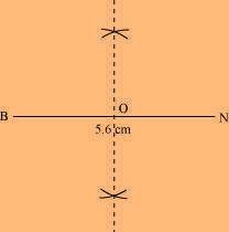 NCERT Solution For Class 8 Maths Chapter 4 Image 26