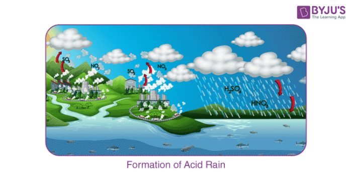 Acid Rain  Definition Causes Effects  Teachoo  Concepts