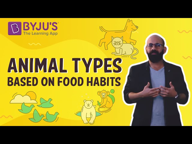 What are various types of animals based on their food habits? What are various types of animals based on their food habits?