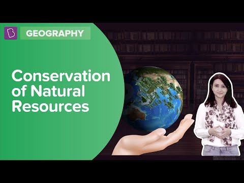 how to conserve energy resources essay