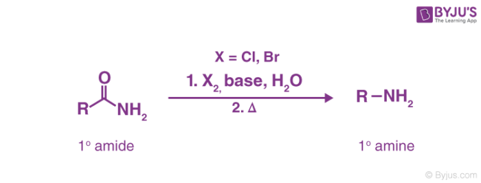 Hoffmann Bromamide Reaction Mechanism