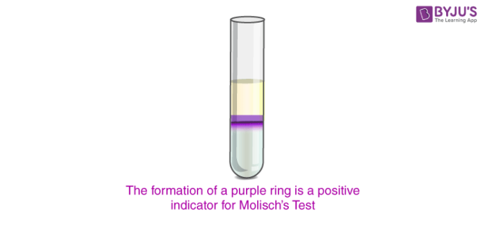 Molisch's Test