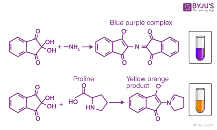 Ninhydrin Test Results