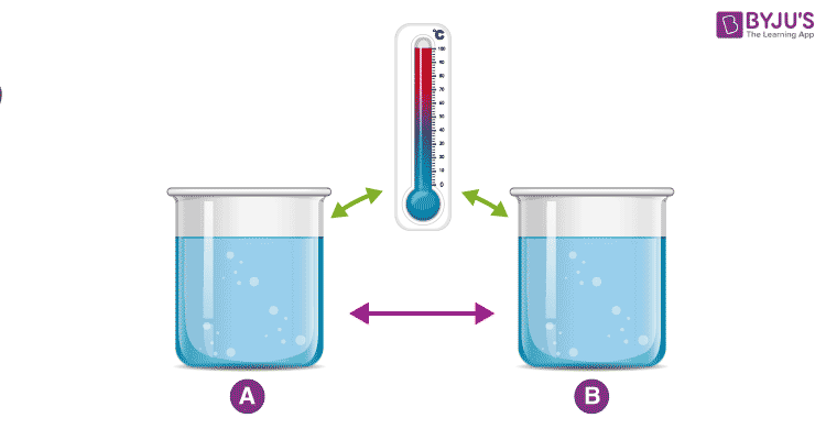 Two cups measuring 100 °C are in equilibrium with each other