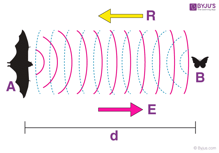 How ultrasound imaging works explained simply.