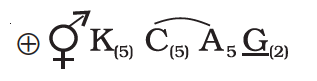 Floral formula of Solanaceae