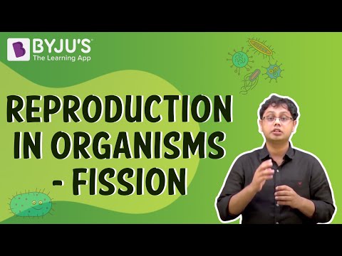 case study class 10 how do organisms reproduce