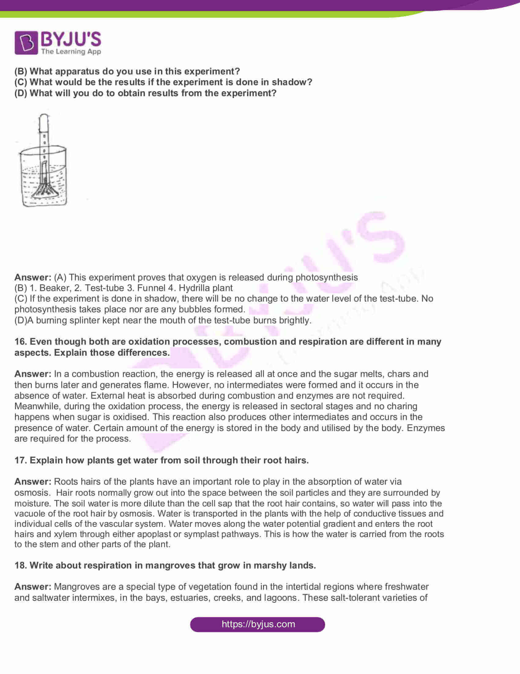 AP Board Class 10 Science Paper 2 2015 Question Paper with Solutions 4