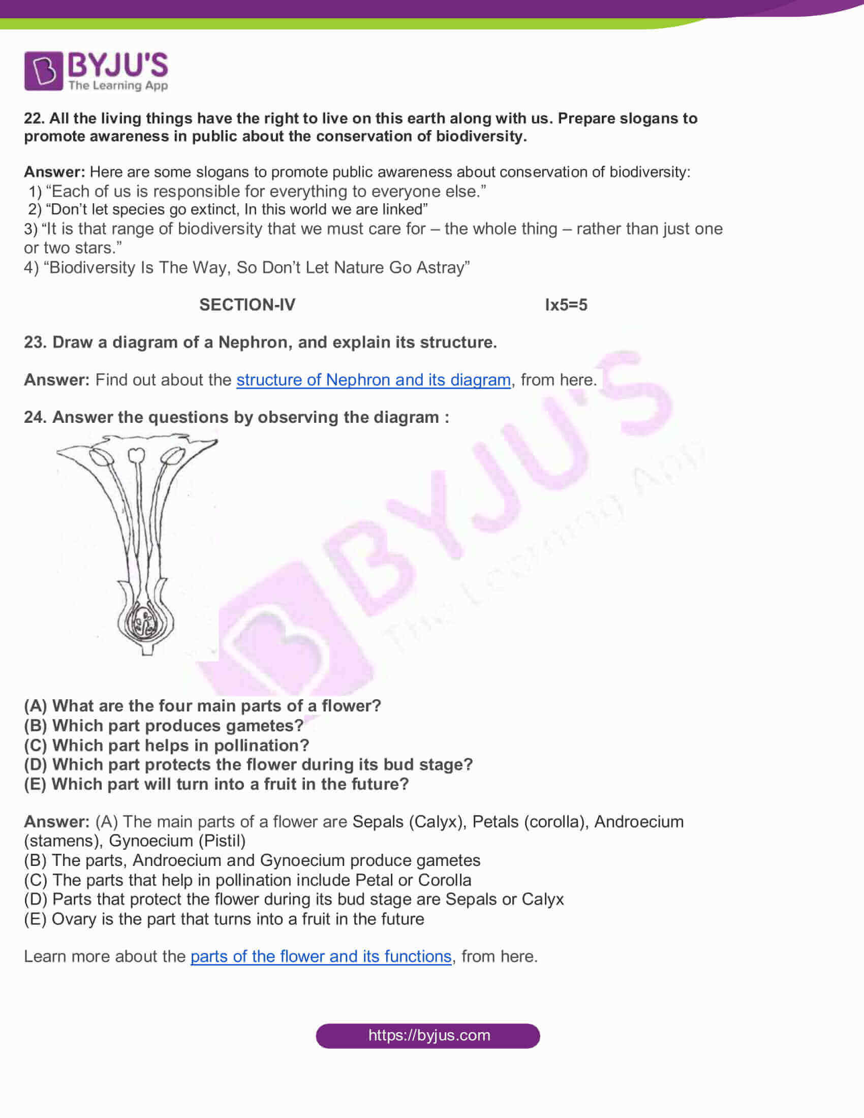 AP Board Class 10 Science Paper 2 2015 Question Paper with Solutions 6