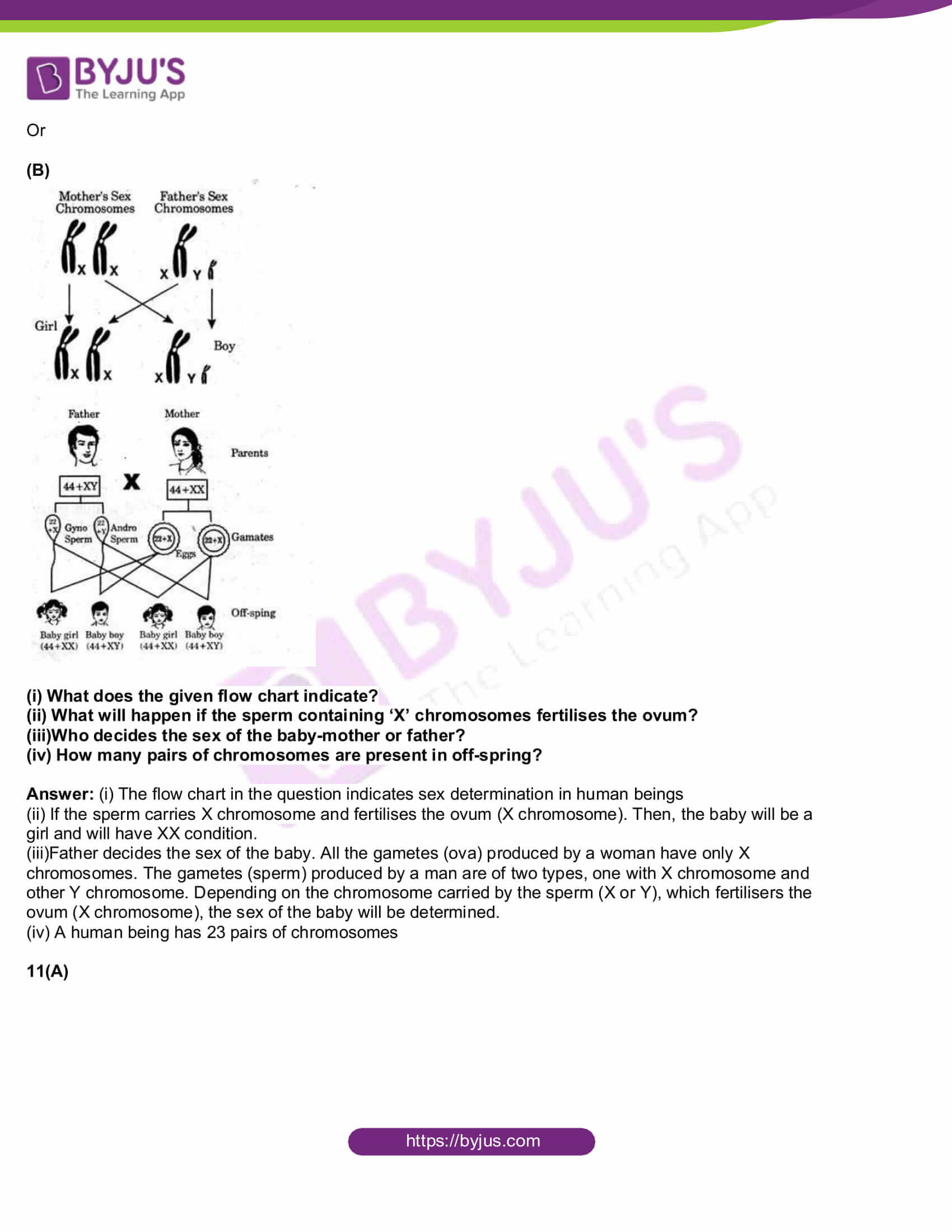 AP Board Class 10 Science Paper 2 2017 Question Paper with Solutions 04