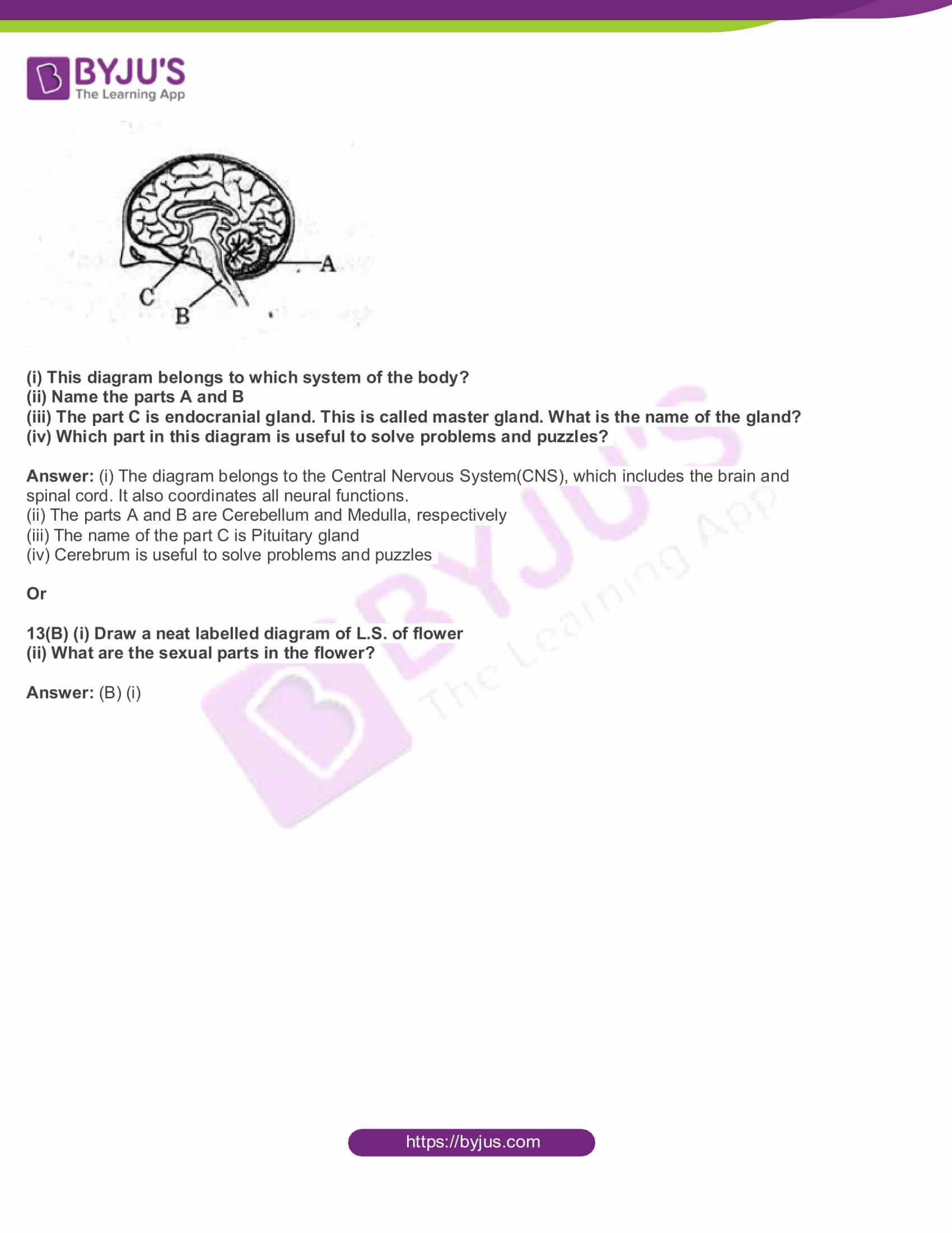 AP Board Class 10 Science Paper 2 2017 Question Paper with Solutions 07