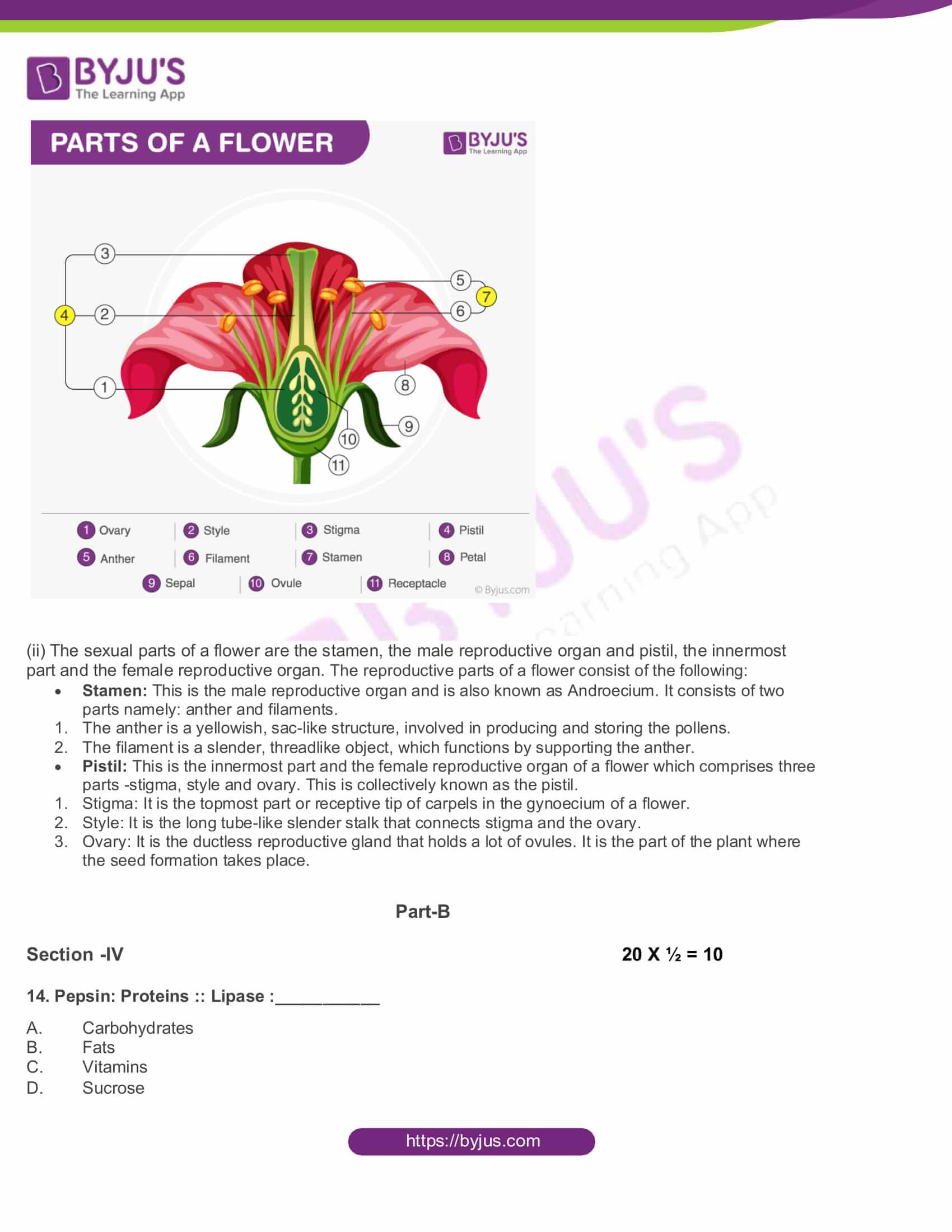 AP Board Class 10 Science Paper 2 2017 Question Paper with Solutions 08