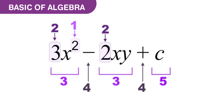 basics of algebra equations expressions examples and formulas