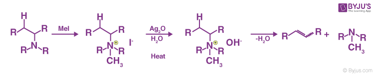 Hofmann Elimination - Step-by-step Mechanism, Illustrations