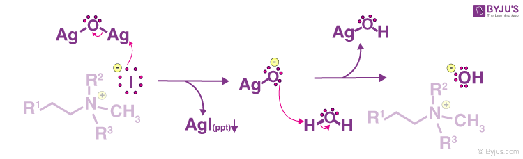 Hofmann Elimination - Step-by-step Mechanism, Illustrations
