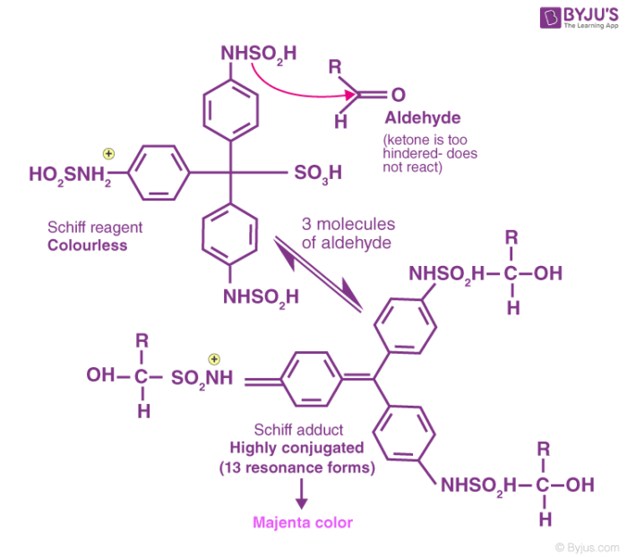 Figure From How Does PH Influence The Staining Mechanism Of, 56% OFF