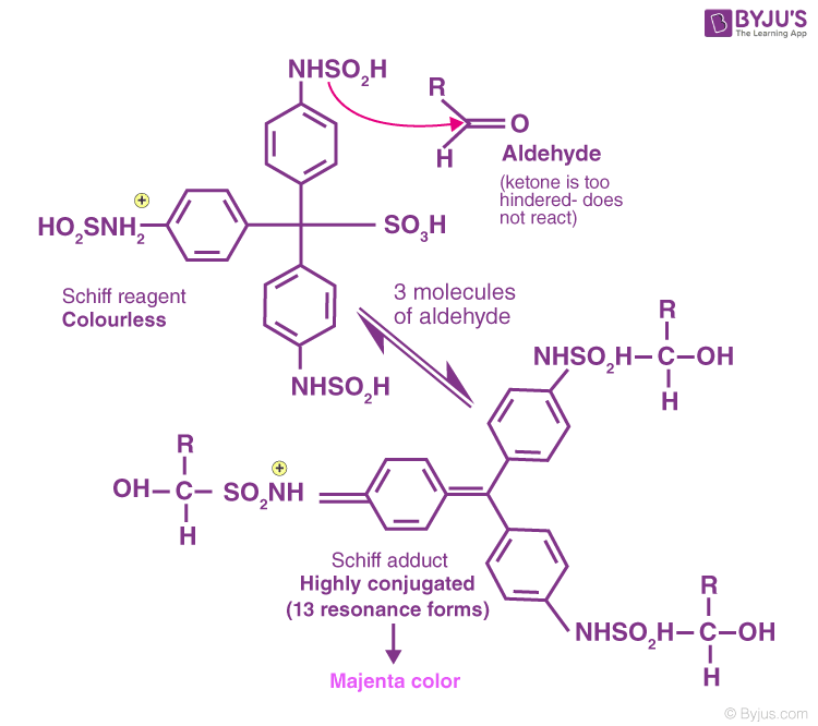 Schiff Test Checking for Aldehydes with Schiff Reagent