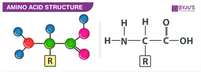 Amino Acid Structure Amino Acids Biochemistry Medbullets Step 1 Amino Acid Structure Amino Acids Biochemistry Medbullets Step 1