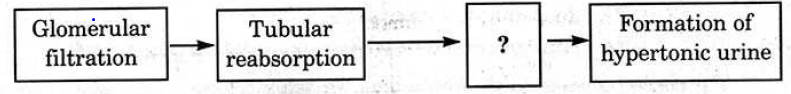 AP Board Class 10 Science Part II 2017 Question Paper Part B Section IV Question 20