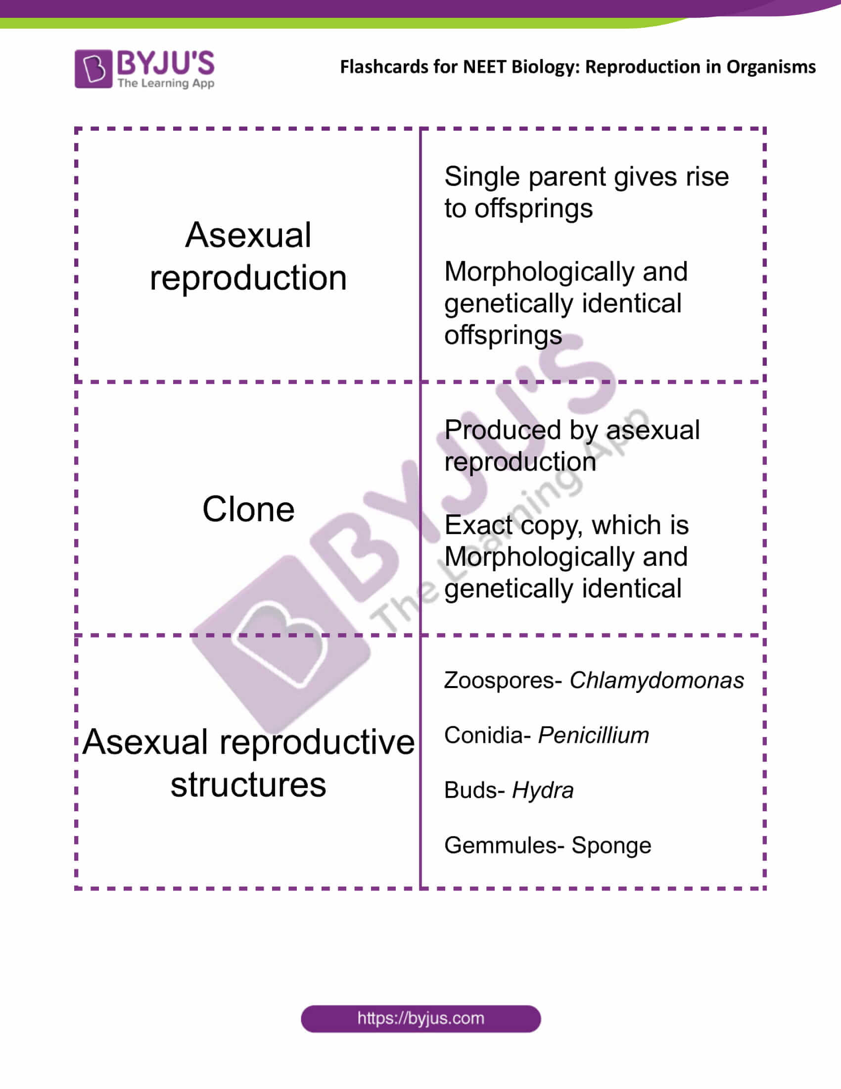 Flashcards for NEET Biology for Reproduction in Organisms 1