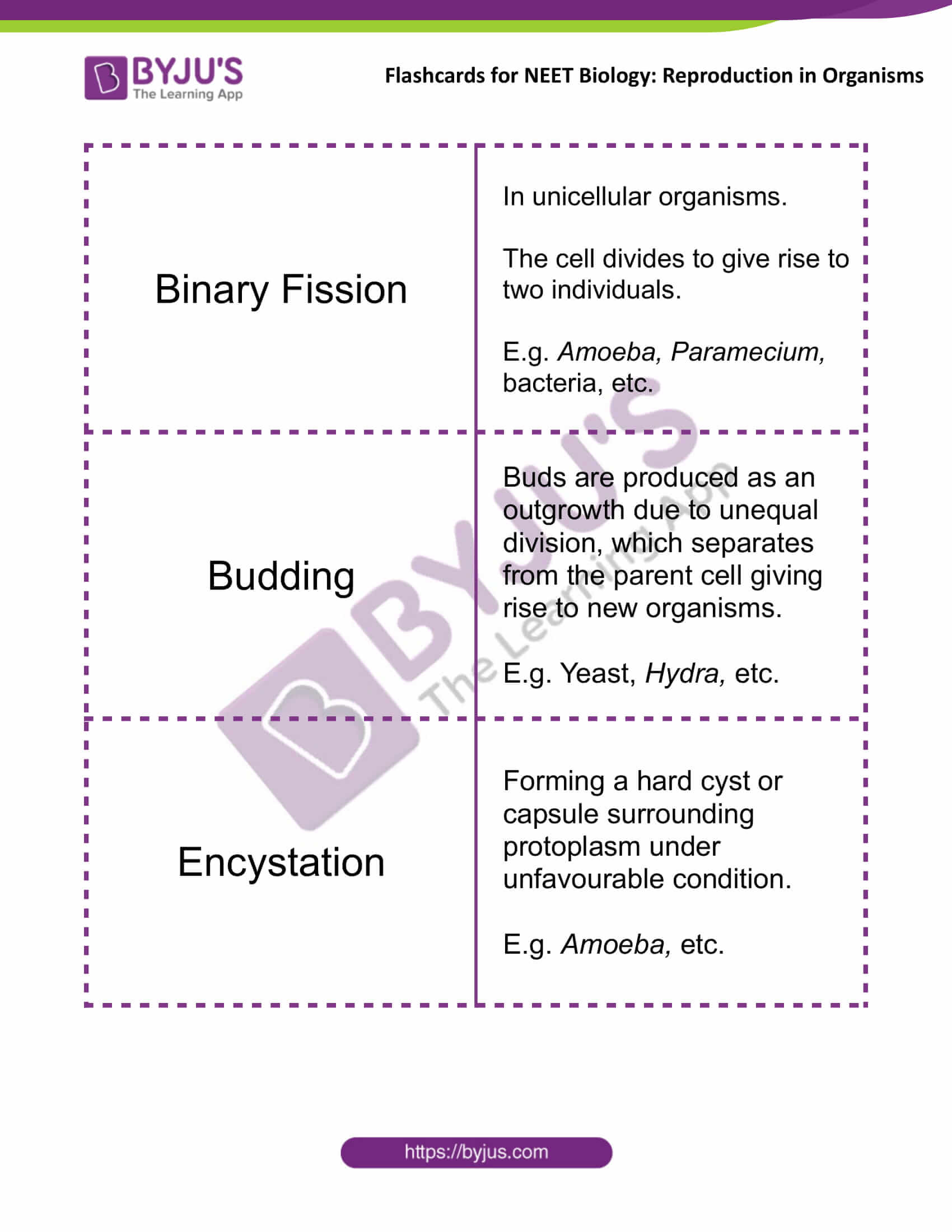 Flashcards for NEET Biology for Reproduction in Organisms 2