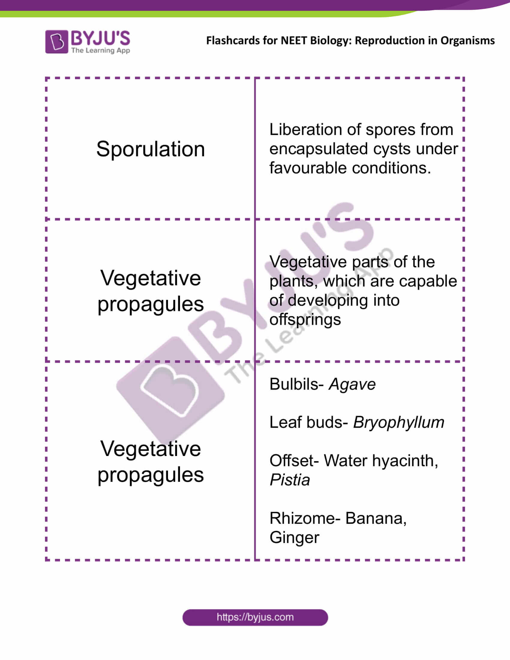 Flashcards for NEET Biology for Reproduction in Organisms 3