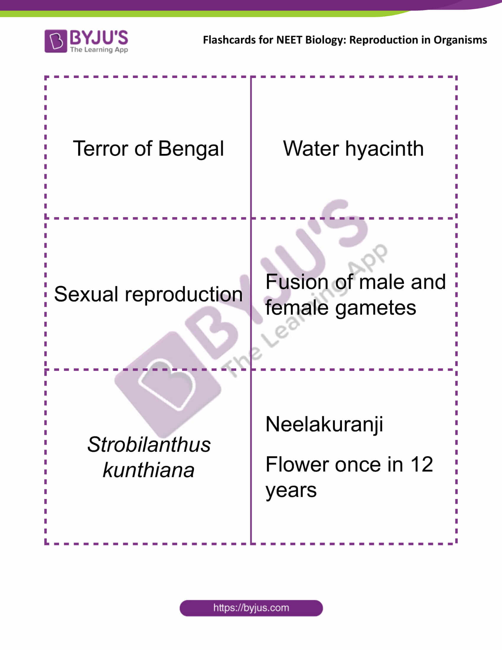 Flashcards for NEET Biology for Reproduction in Organisms 4