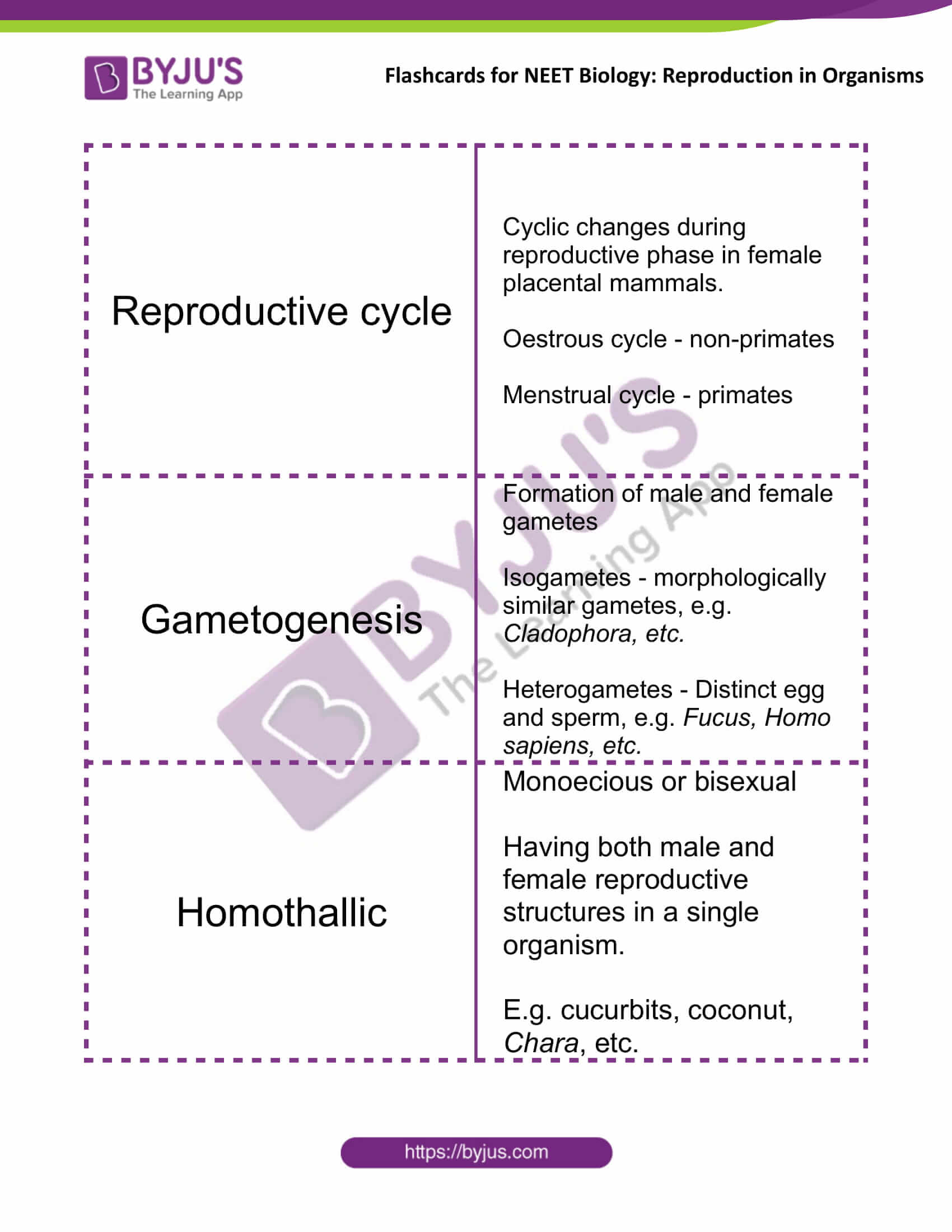 Flashcards for NEET Biology for Reproduction in Organisms 5