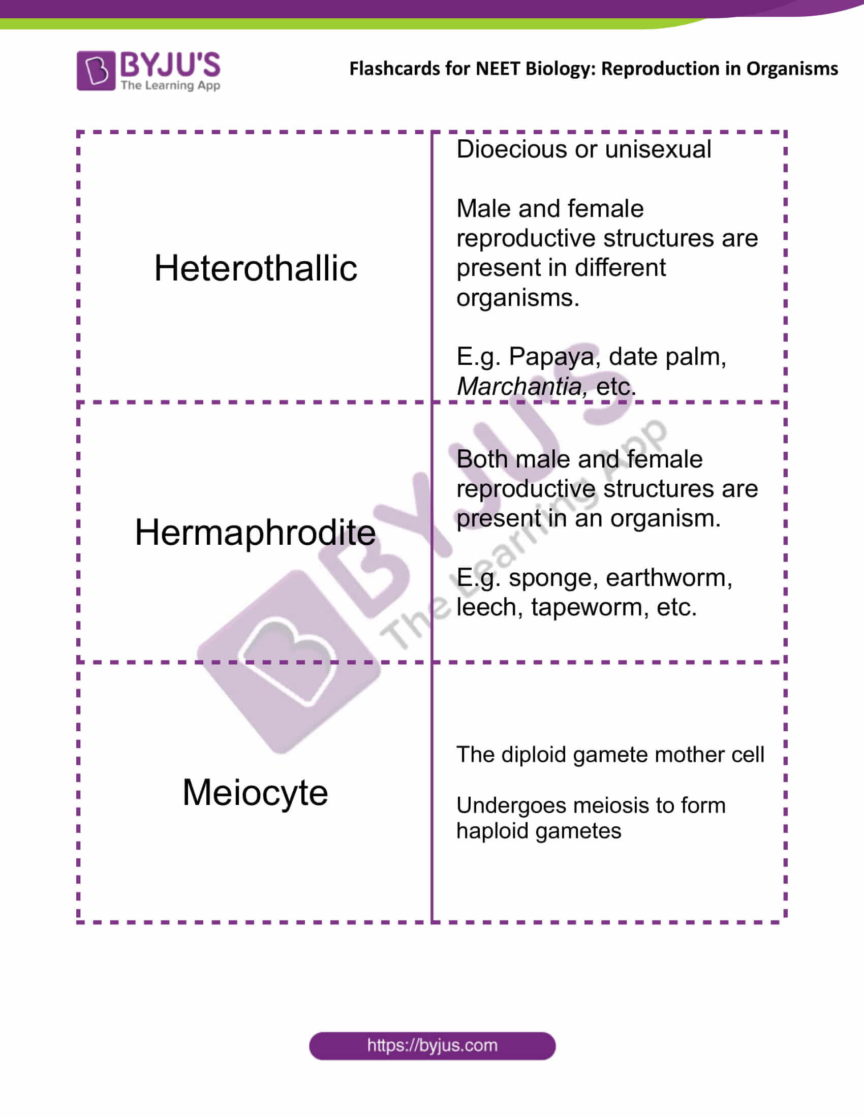 Flashcards for NEET Biology for Reproduction in Organisms 6