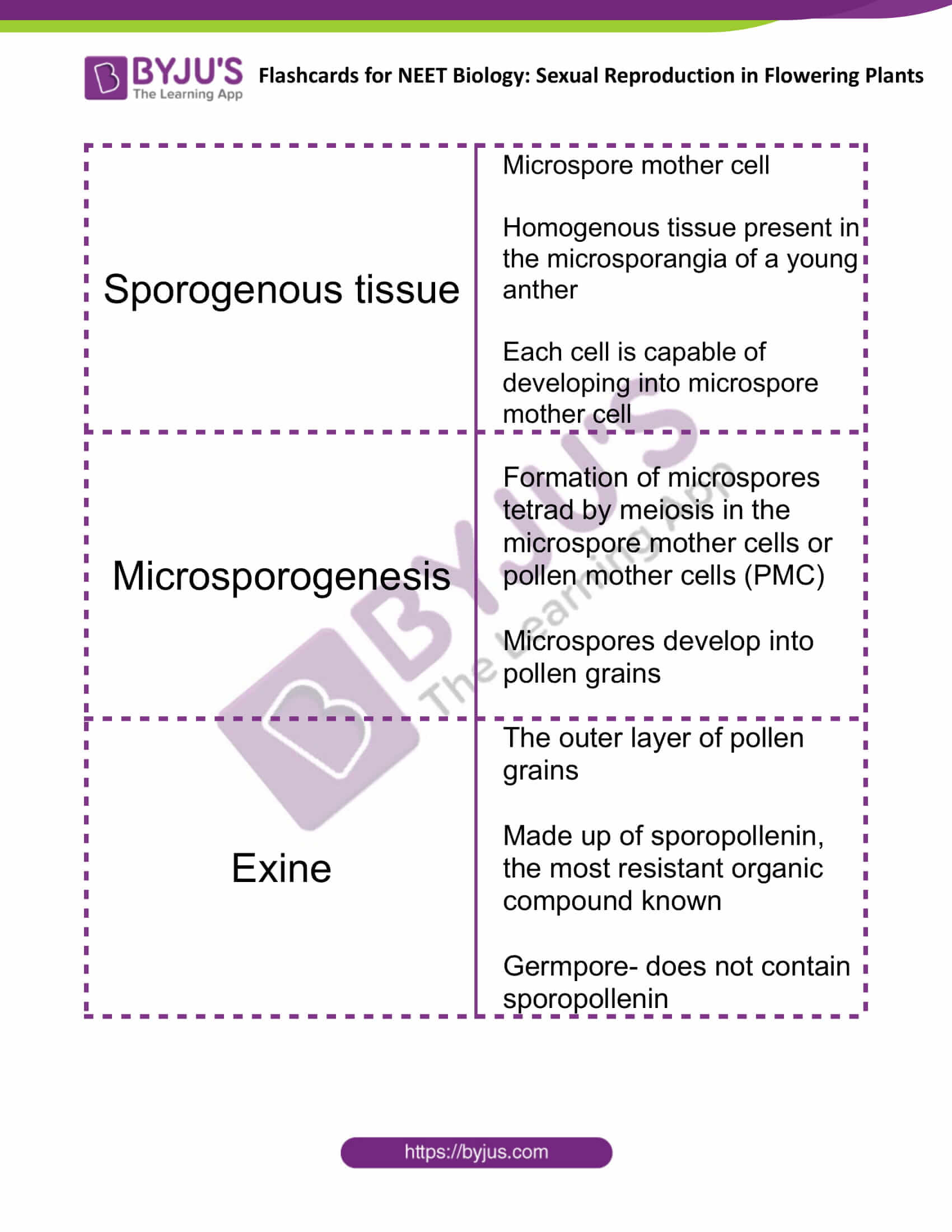 Sexual Reproduction in Flowering Plants 2