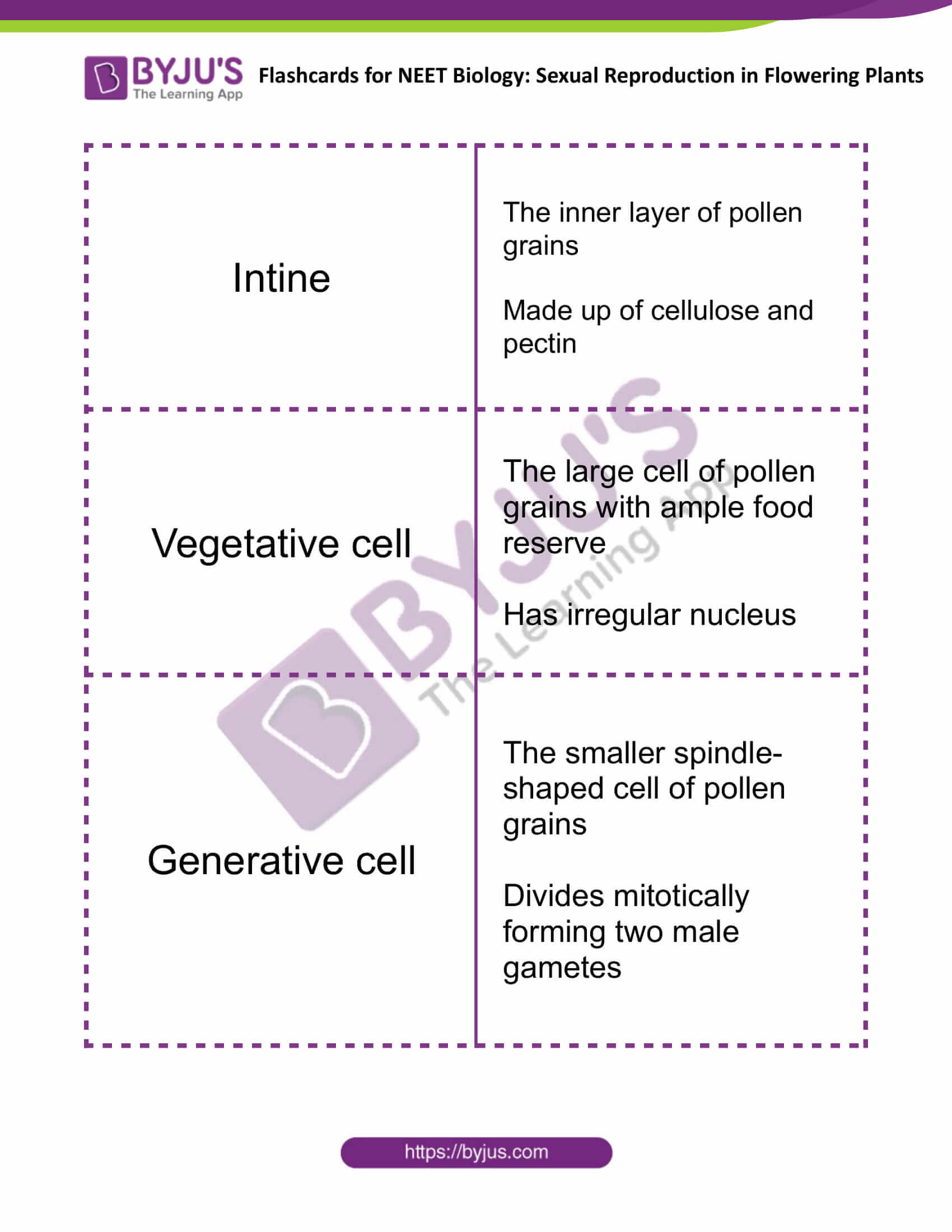 Sexual Reproduction in Flowering Plants 3