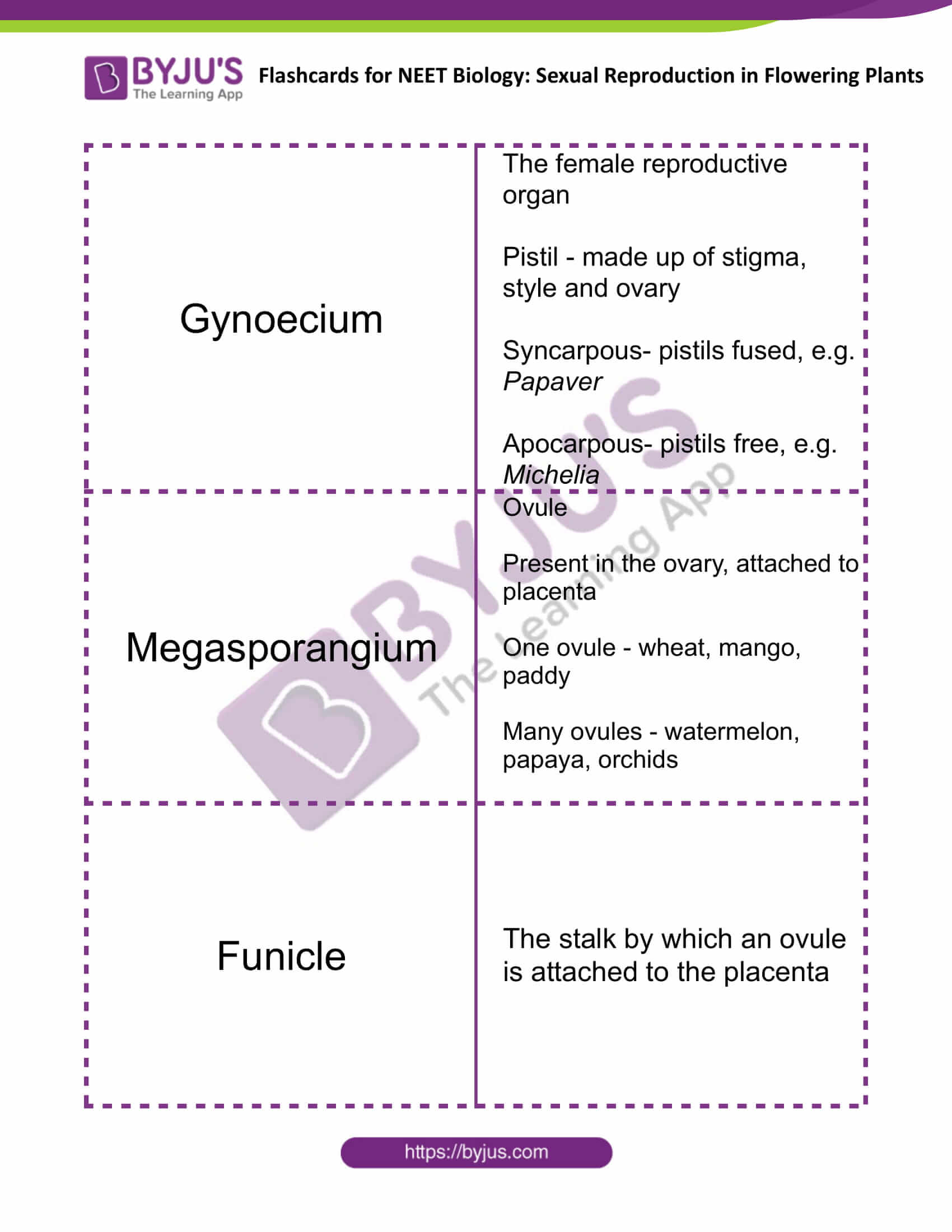 Sexual Reproduction in Flowering Plants 4