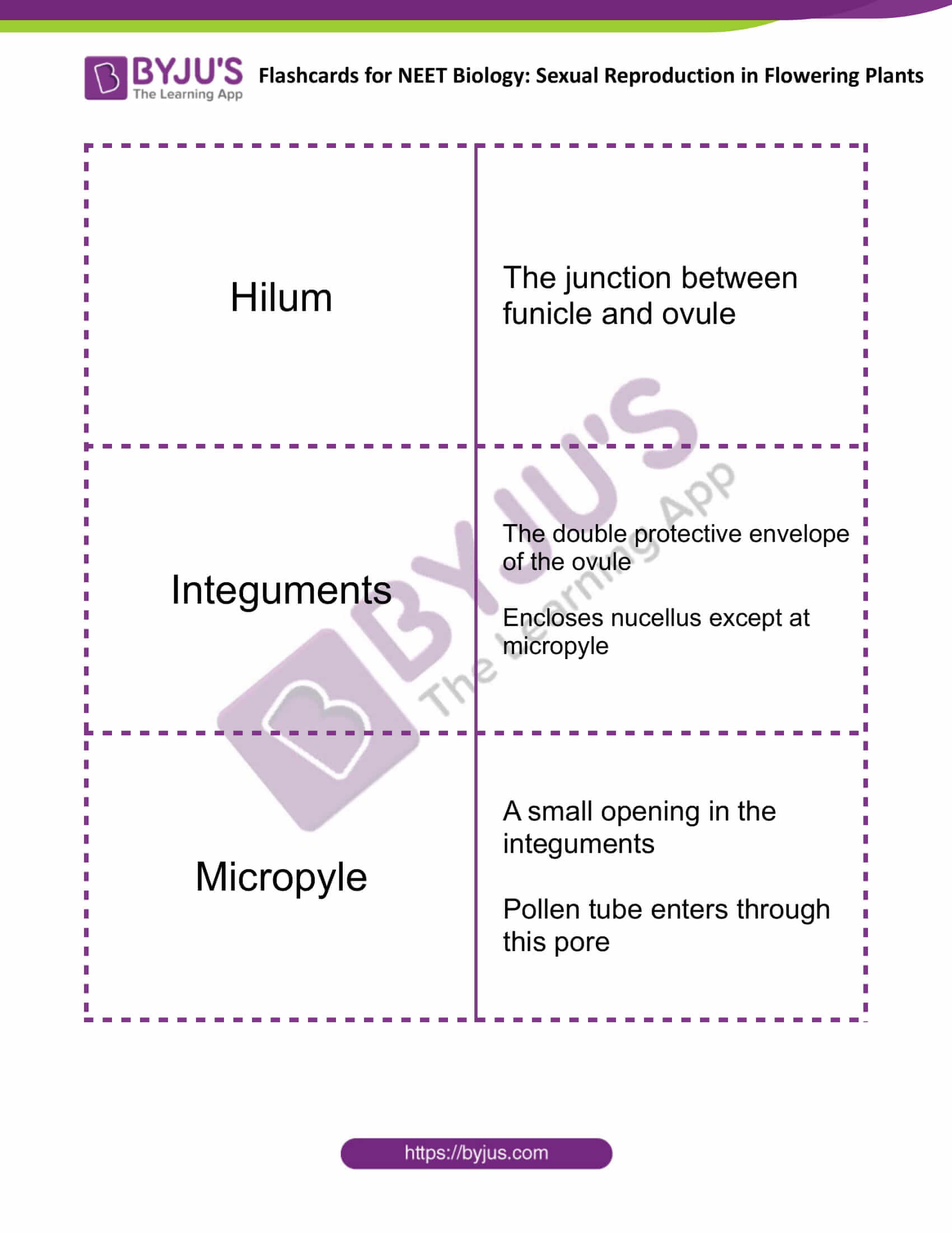 Sexual Reproduction in Flowering Plants 5