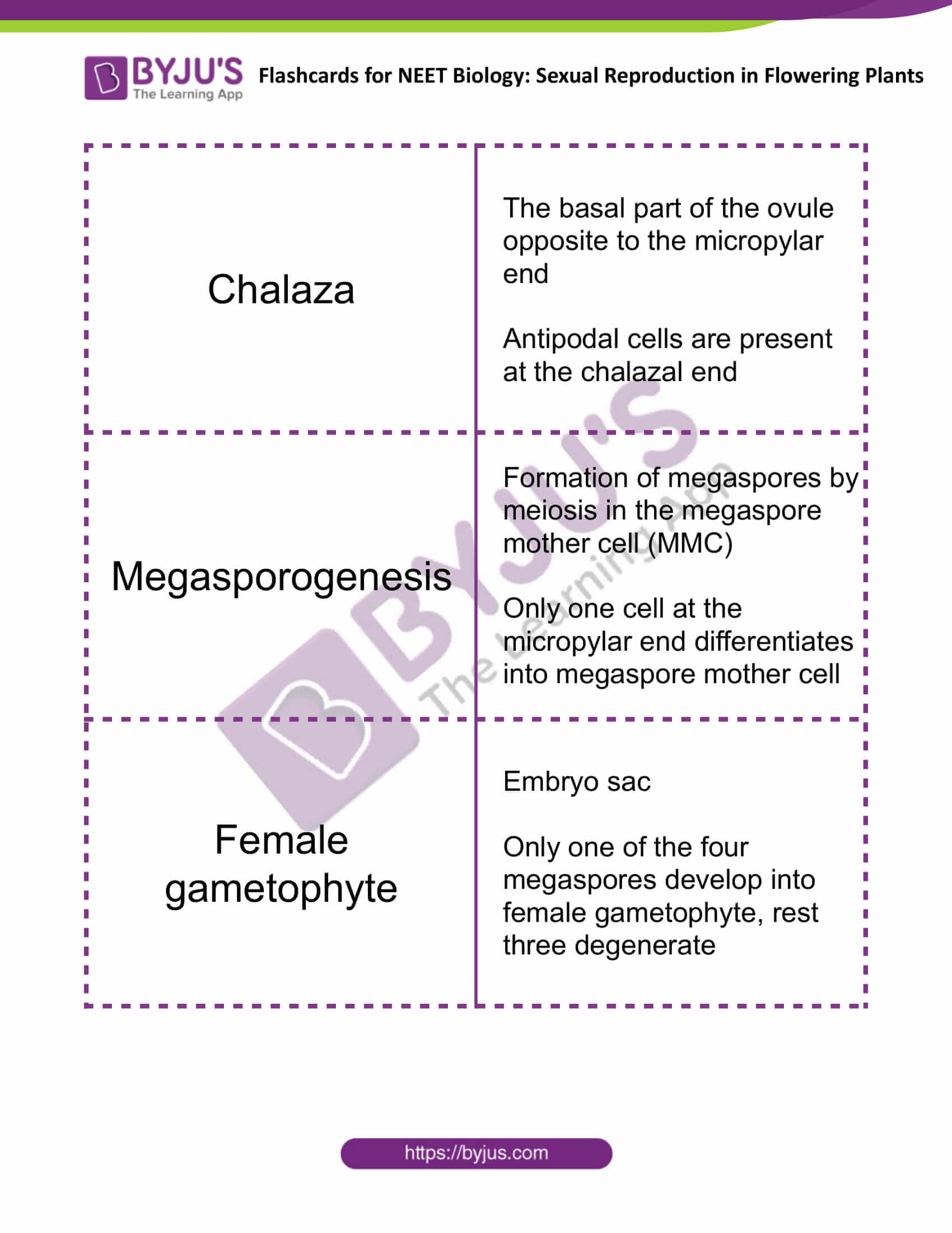 Sexual Reproduction in Flowering Plants 6