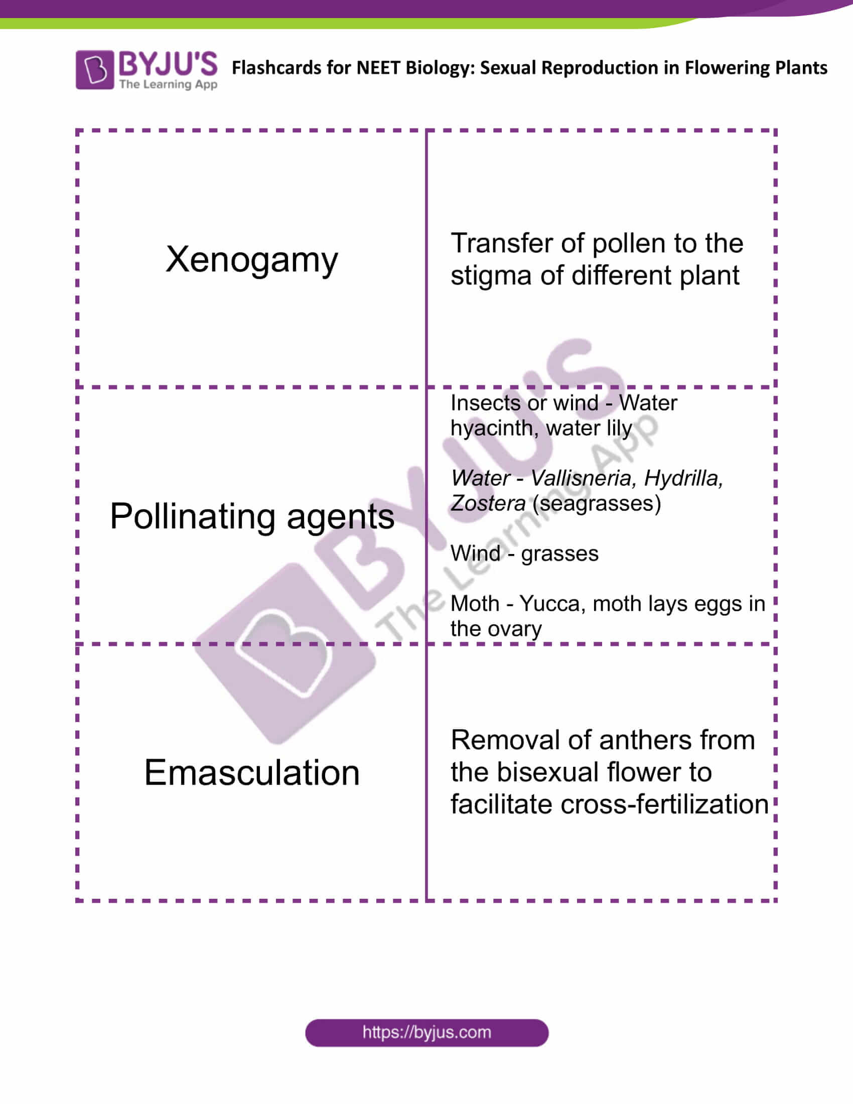 Sexual Reproduction in Flowering Plants 8