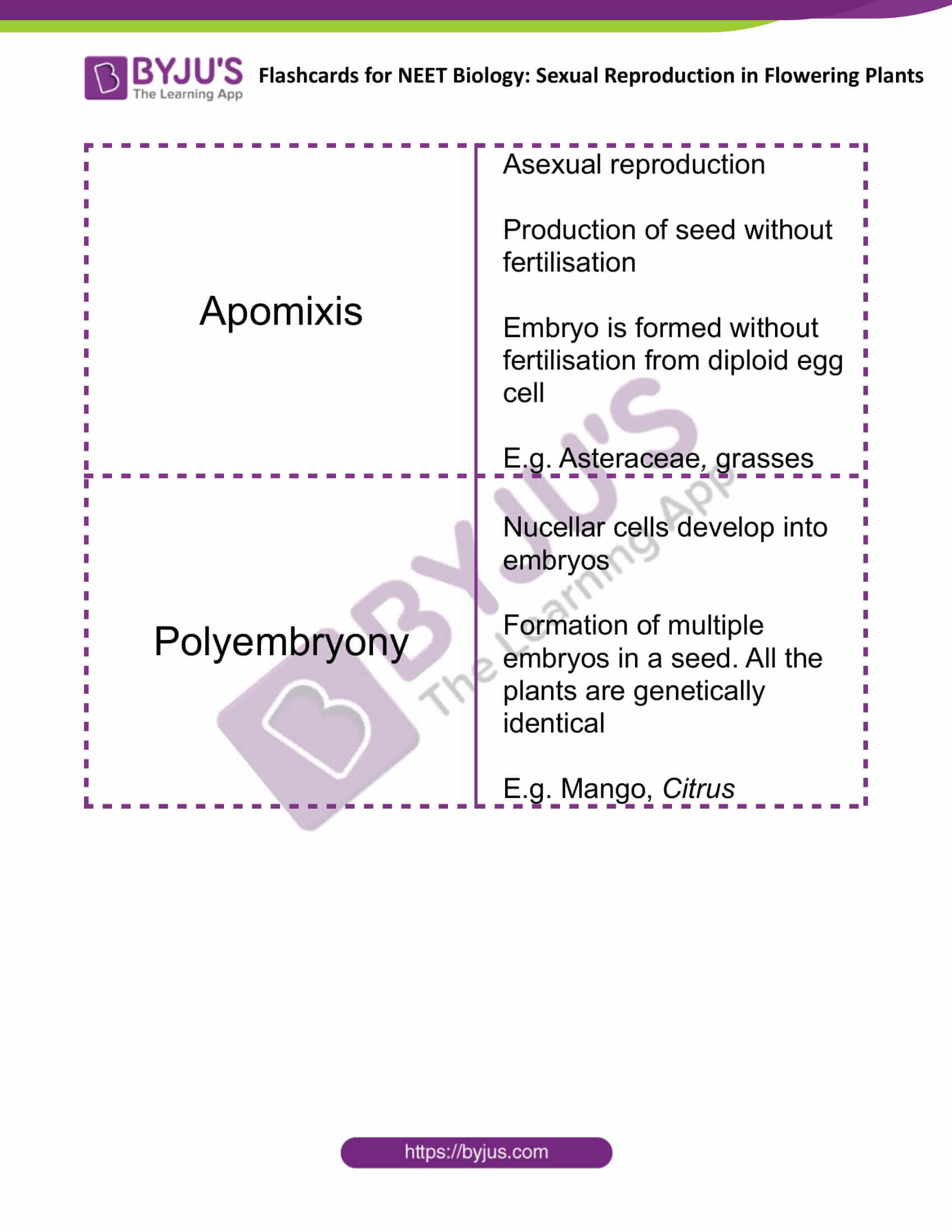 Sexual Reproduction in Flowering Plants 11