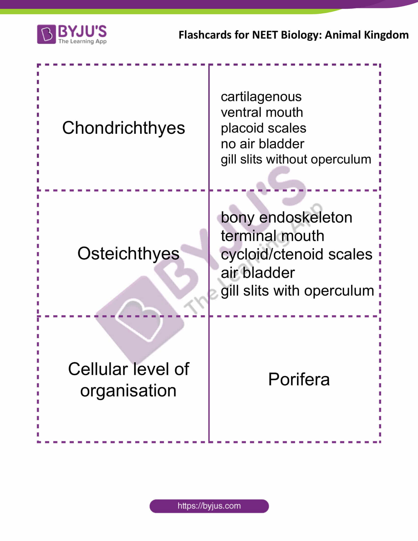 flashcards for neet biology animal kingdom 7