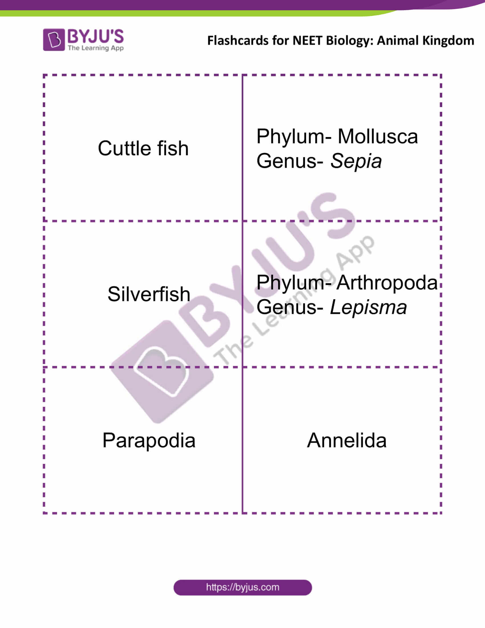 Animal Kingdom Flashcards for NEET Biology