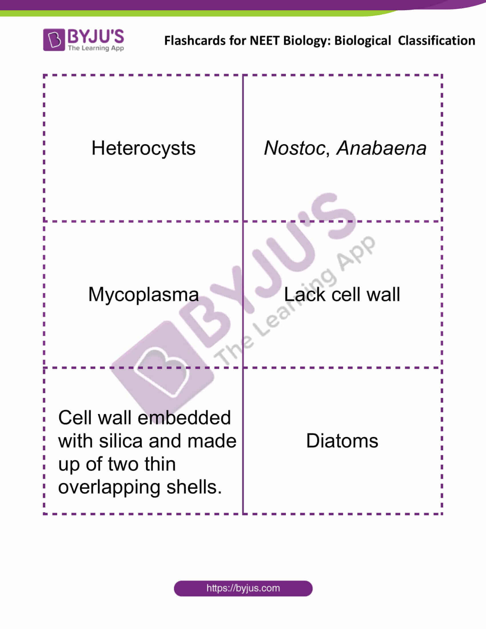 Flashcards for NEET Biological Classification 2