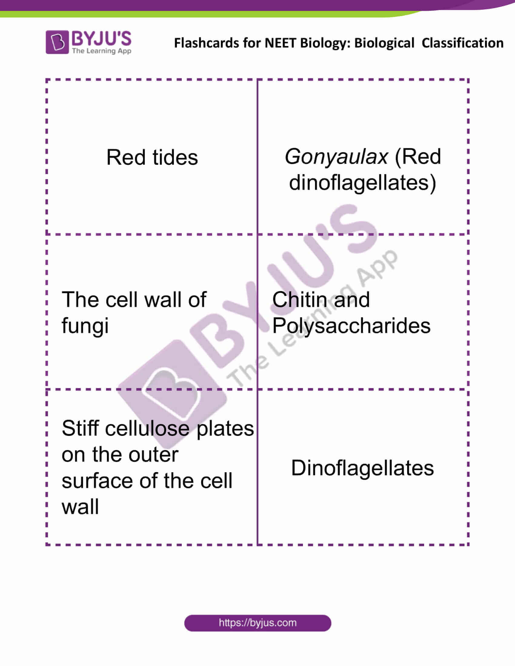 Flashcards for NEET Biological Classification 3