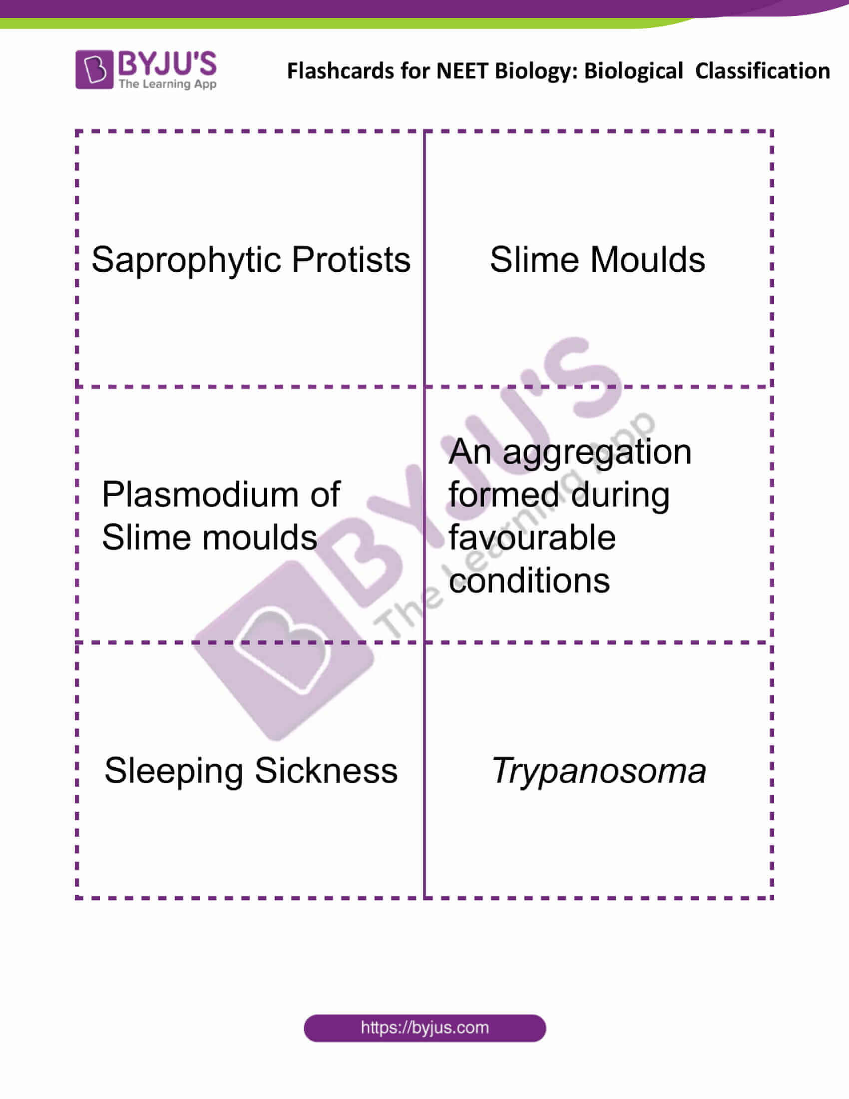 Flashcards for NEET Biological Classification 4