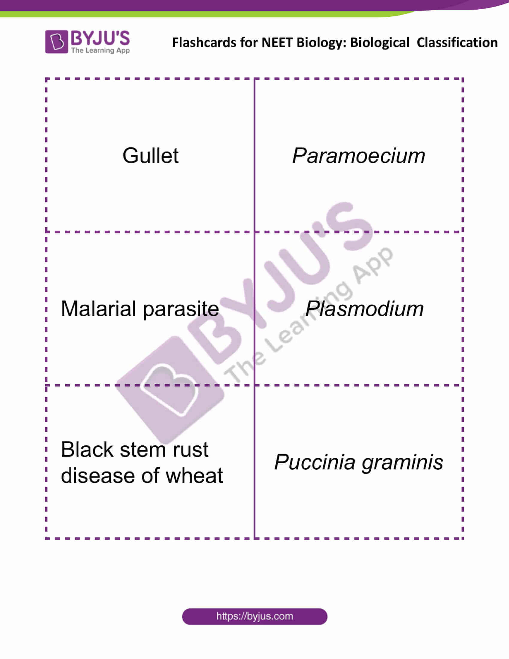 Flashcards for NEET Biological Classification 5