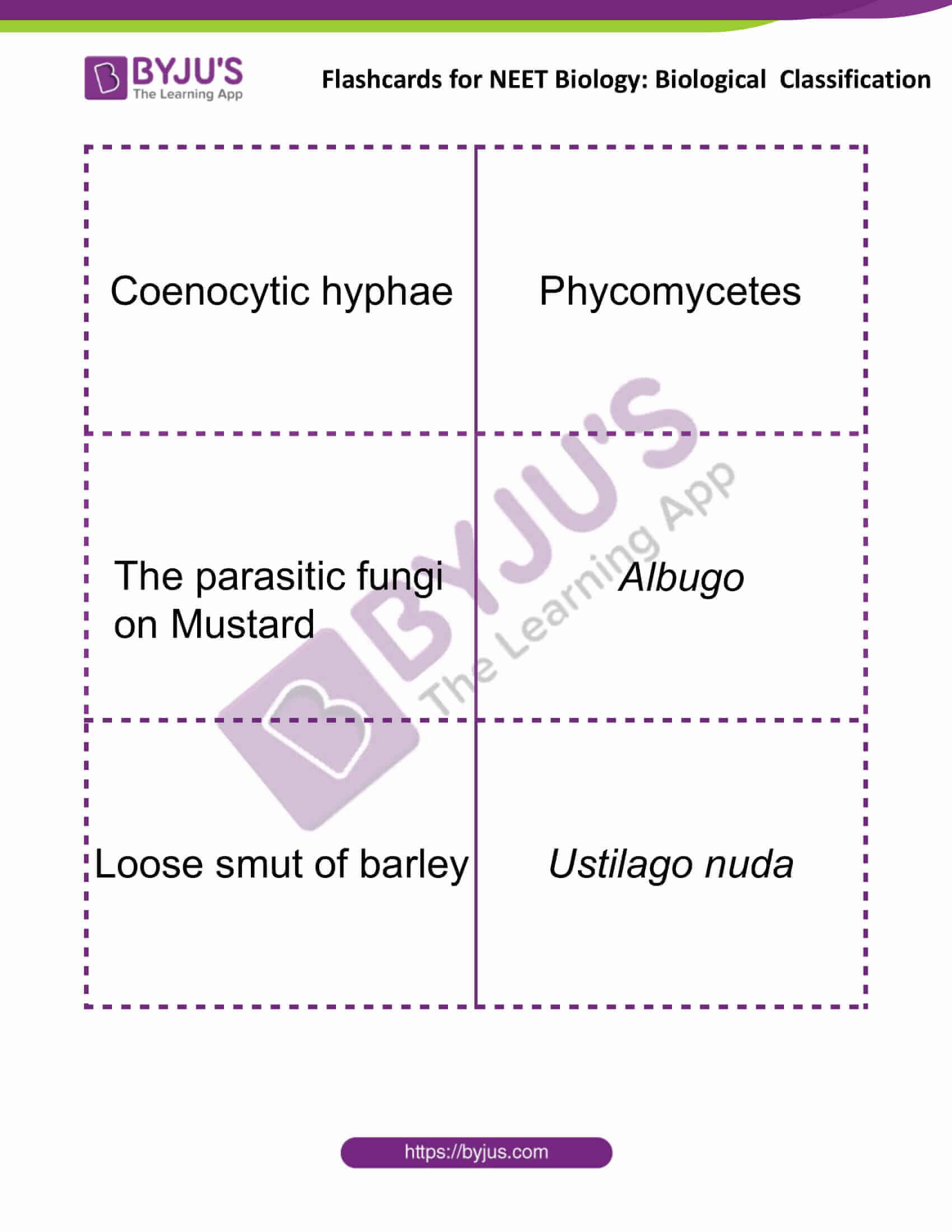 Flashcards for NEET Biological Classification 6