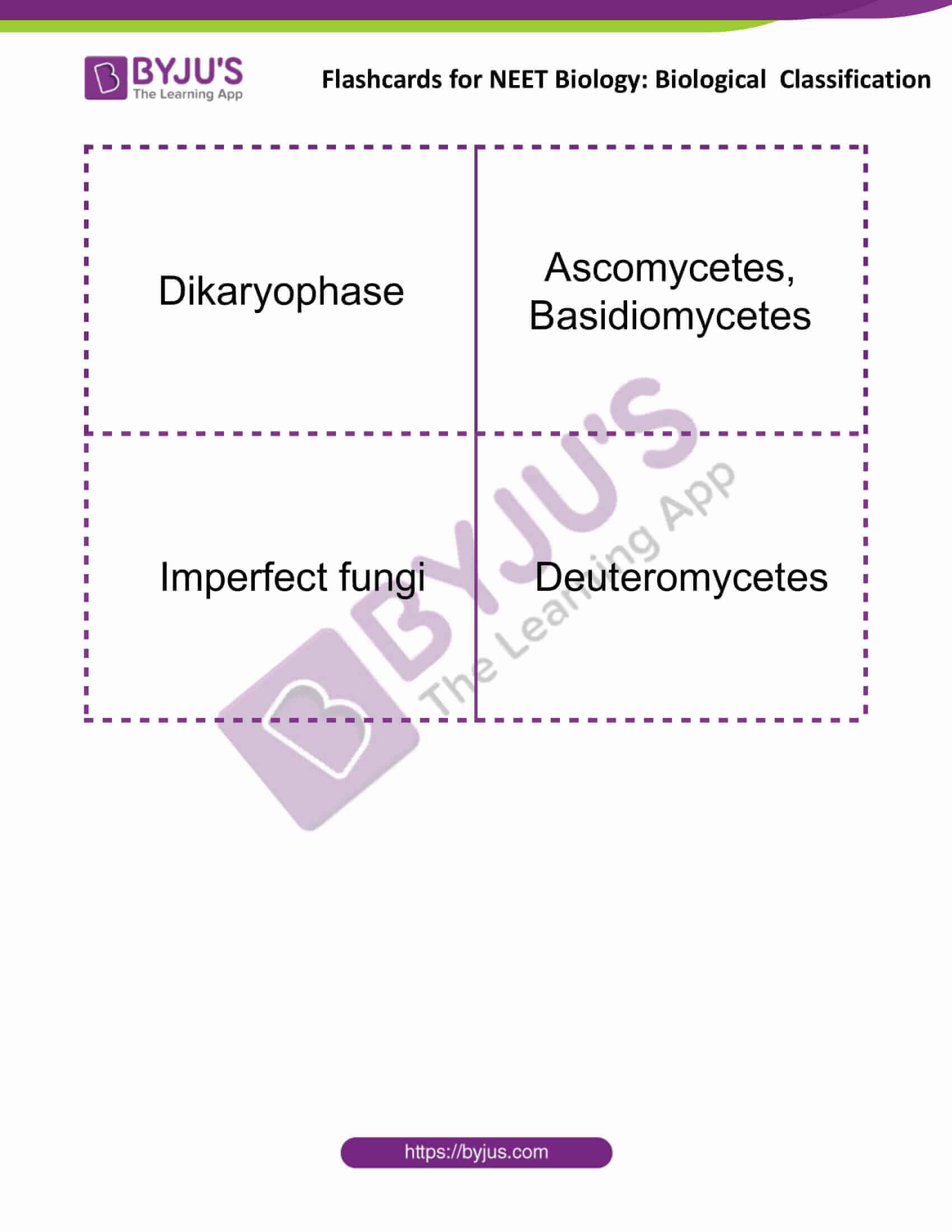 Flashcards for NEET Biological Classification 7