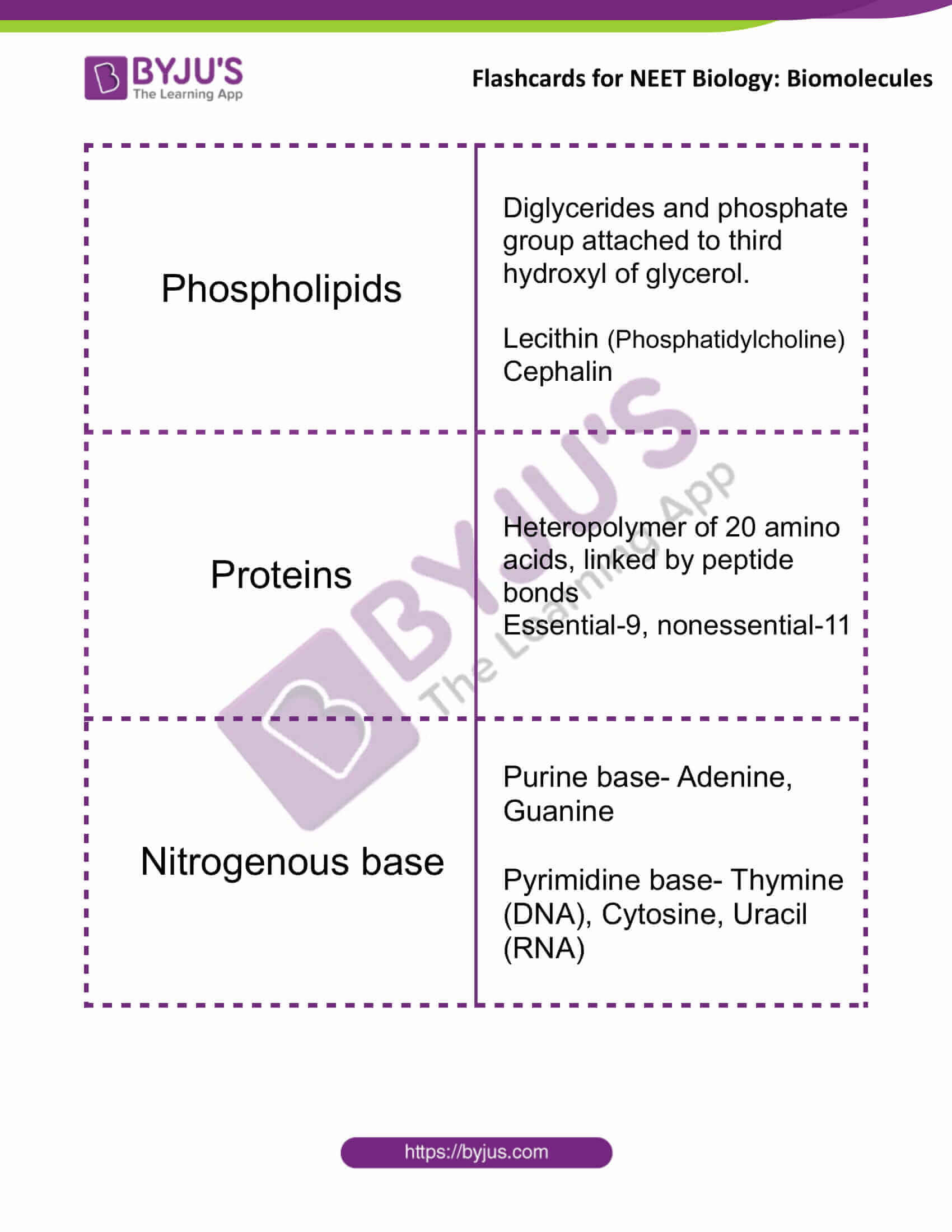 Chapter 5: Competitive Balance Flashcards